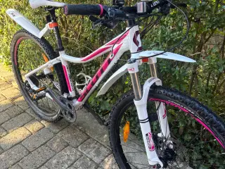 Scott mtb