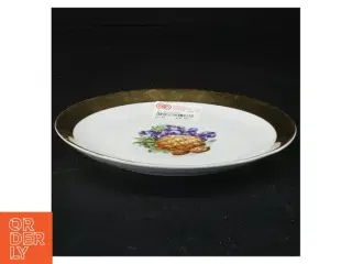 Porcelænstallerken med guldkant og nøddemotiv (str. 17 x 17 cm)