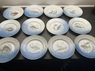 Fisketallerkner