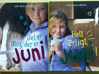 2 Juni Bøger