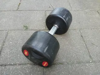 Håndvægte, 12 stk. og træningsbænk