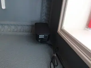 Trådløs højtaler BLUESOUND INTERNATIONAL Pulse Flex 2i