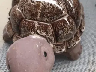 STOR FLOT SKILDPADDE I KERAMIK 26X28 CM
