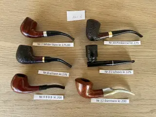 Ks.1 Piber fra kr.175 pr stk.