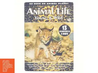Animal life, young and wild DVD