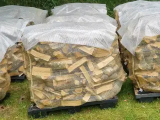 Birkebrænde