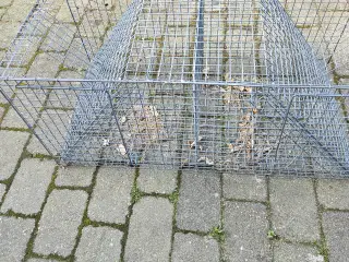 Krage/skadefælde 