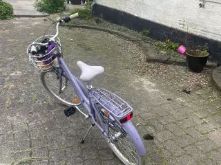 Pigecykel 24T 