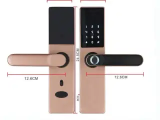 Smart Lock Entrivo HR05 Rosegold