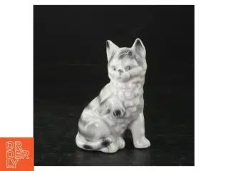 Porcelænskat
