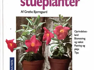 100 populære stueplanter /Grethe Bjerregaard