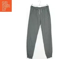 Grå sweatpants fra Champion (str. 152)