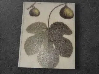 Botanisk mini-tryk: Elegant figenillustration