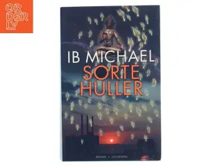 Sorte huller af Ib Michael (Bog)