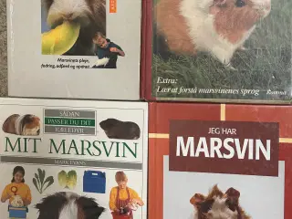 4 bøger om marsvin