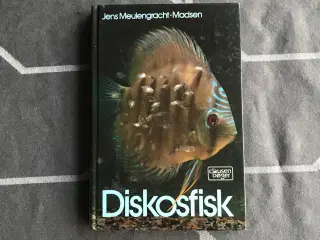 Diskosfisk
