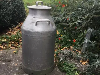Mælkejunge