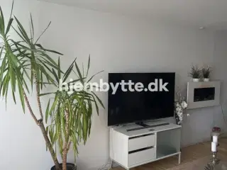 Hjembytte - Tranevænget