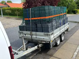 Teltgulv udlejes. 