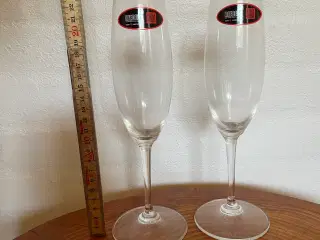 Riedel champagneglas