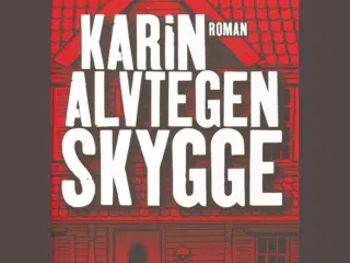 Bog - "Skygge" af Karin Alvtegen