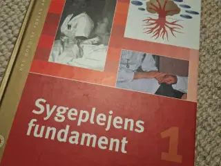 Sygeplejens fundament 1