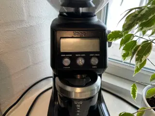 Kaffekværn - Sage