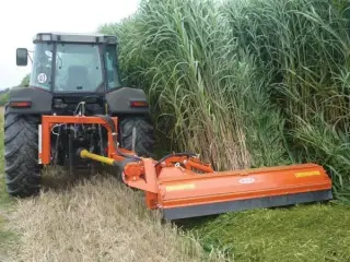 Ortolan T80/T85 160 cm
