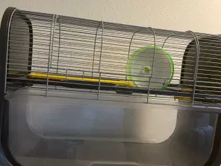 Hamsterbur til dværghamster