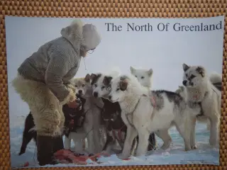Plakat fra Qaannaaq i Grønland