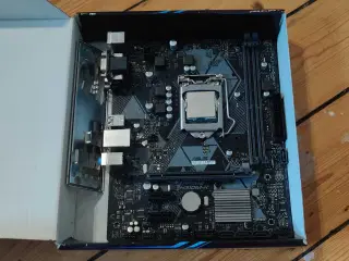 Intel i7-9700K + Asus Prime H310M-K (bundkort + CP