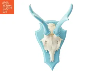 Dekorativt kranie med blå horn (str. 30x16 cm)