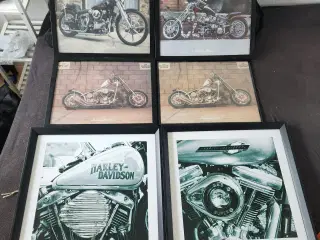 HD samling 