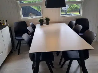 Hvidt spisebord med 8 stole