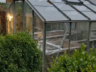 Fint drivhus bortgives skal pilles ned idag.