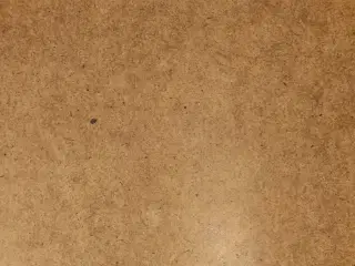 Spejl 