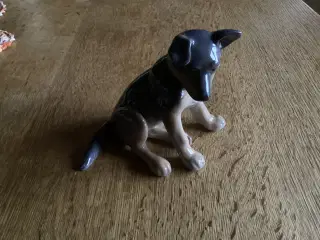 Kgl Chefer Hvalp nr 6835 pris 725,00 kr