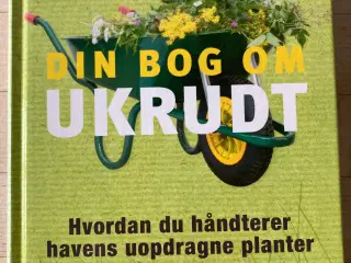 Din bog om ukrudt, Ken Thompson
