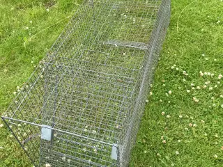 Rævefælde