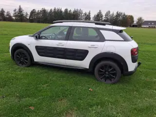 Velholdt citroen cactus