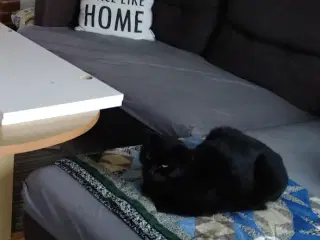 Sofa med chaiselong