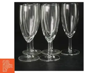 Champagneglas (5 stk) (str. 16 cm)