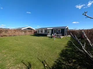 Skøn Kolonihave i Ishøj