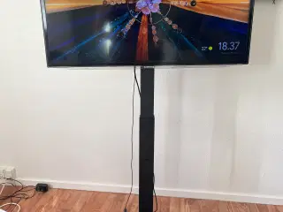 TV stativ m. glasfod, hylde & kabelstyring. 37-70"