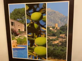 Landsteder på Mallorca