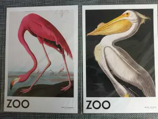 2 plakater i A5 - ZOO 