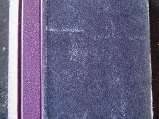 Frederick Marryat: Jacob Ærlig