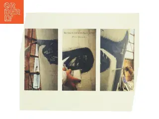 Roskildekrukkerne af Peter Brandes (Bog)