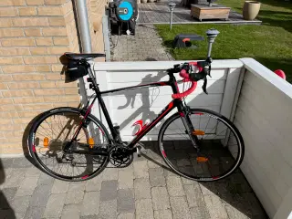 Giant Defy 1 racercykel – XL stel, super flot stan