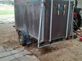 Agados selandia trailer